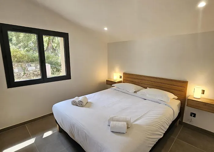 Maison Di Fiori, Location Neuve Avec Piscine Feriehus